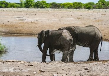 Namibia Individualreisen